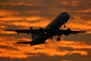 Airbus A321-111 - OE-LBB