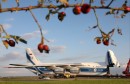 Antonov An-124-100 Ruslan - RA-82074