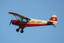 Piper J3C-65 Cub - OK-ONY