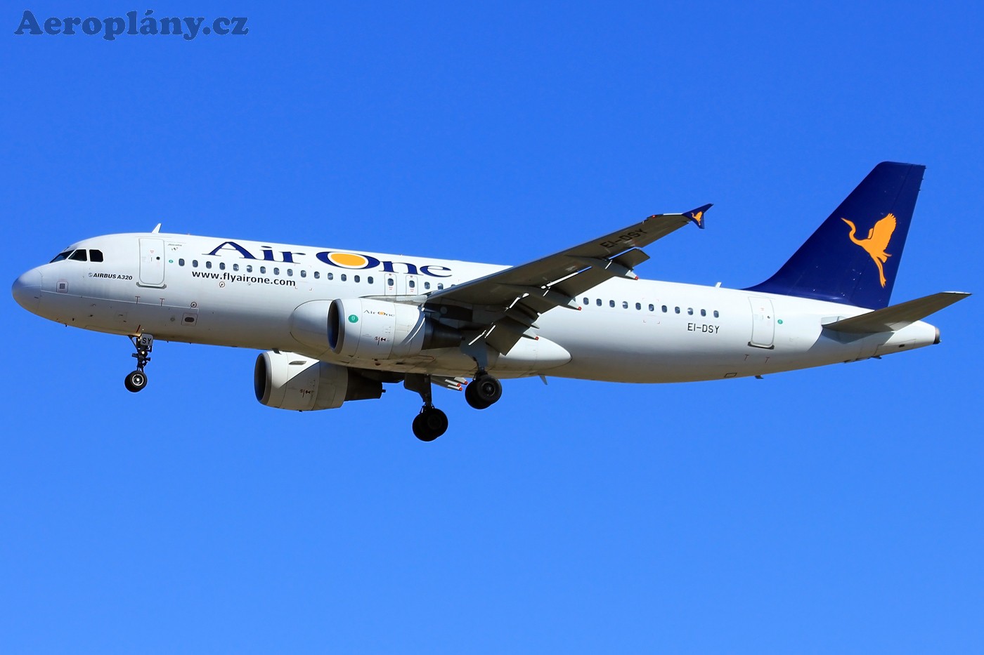 Airbus A320-216 - EI-DSY