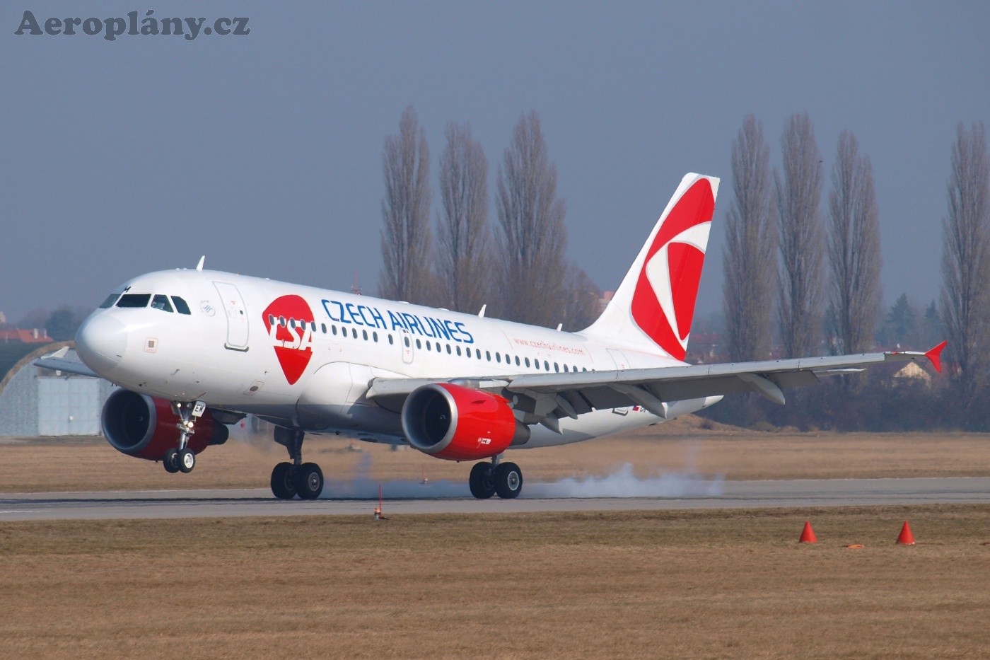 Airbus A319-112 - OK-NEM